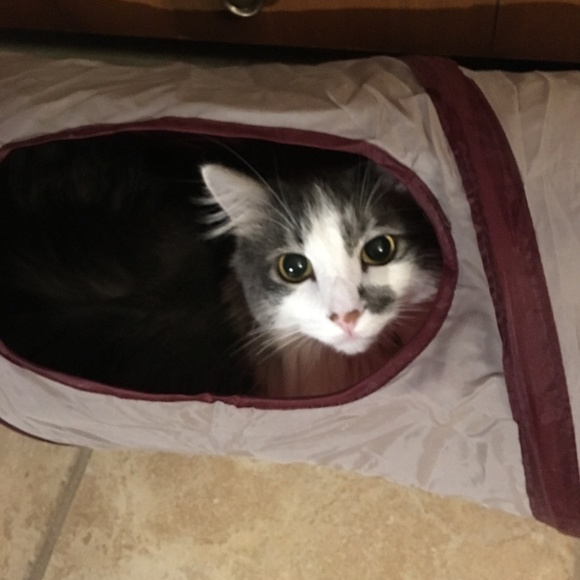 Meet your Posher, Susan - Picture 2 of 3